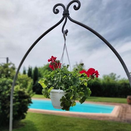B&B Il Casolare Di Bonci Santa Maria a Monte Exteriér fotografie