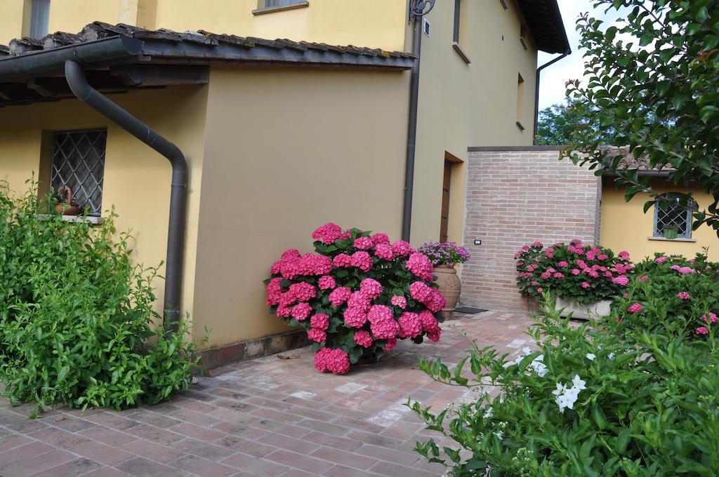 B&B Il Casolare Di Bonci Santa Maria a Monte Exteriér fotografie
